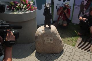 Rodzina Lubelskich Koziołków się powiększa. Koziołek Staś jest trzeci