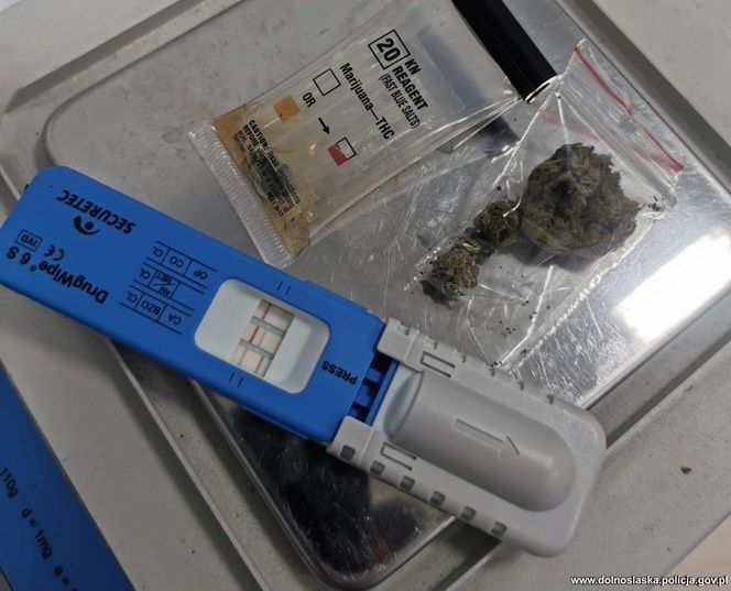 37-letni Słowak zatrzymany na Dolnym Śląsku. Uciekał przed policją