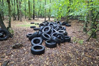 Śmieci wciąż problemem w wielkopolskich lasach