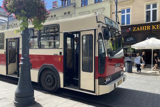 Parada Wolności 2025 niedziela