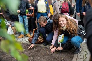 Fundacja Pomóż Im. Po raz dziesiąty zaczęli siać Pola Nadziei [ZDJĘCIA]