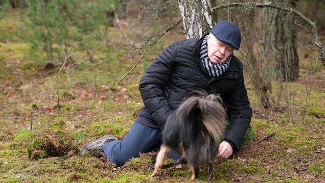 M jak miłość odc. 1857. Jan Mokrzycki (Wojciech Duryasz)