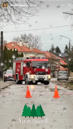 Wichura zrujnowała ogród Klaudii Halejcio