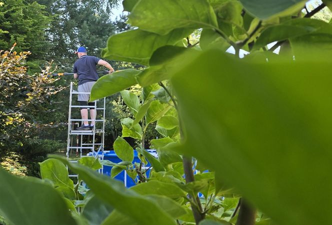 Wczasy po Polsku wiceprezesa Czarnka