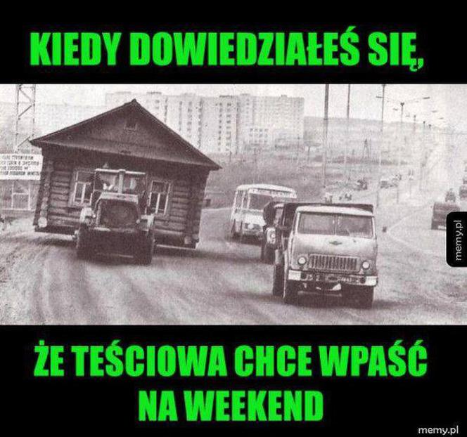 Memy na Dzień Teściowej 2020. Zobacz najśmieszniejsze