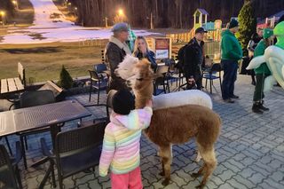 Zjazd na byle czym - Kielce Telegraf (15.03.2025)