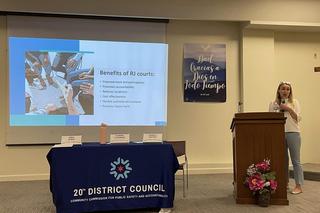 Polka propaguje nietypowe sądy w Chicago