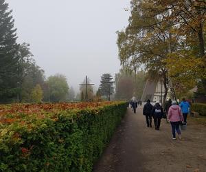 Zrobiliśmy spacer po białostockich nekropoliach. Sprawdź w jakim stanie są nagrobki historycznych postaci [ZDJĘCIA]