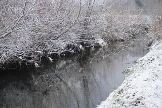 Sypnęło śniegiem! Zobacz zimowe zdjęcia z Kielc i regionu