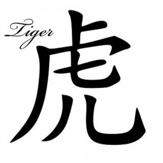 Tygrys 