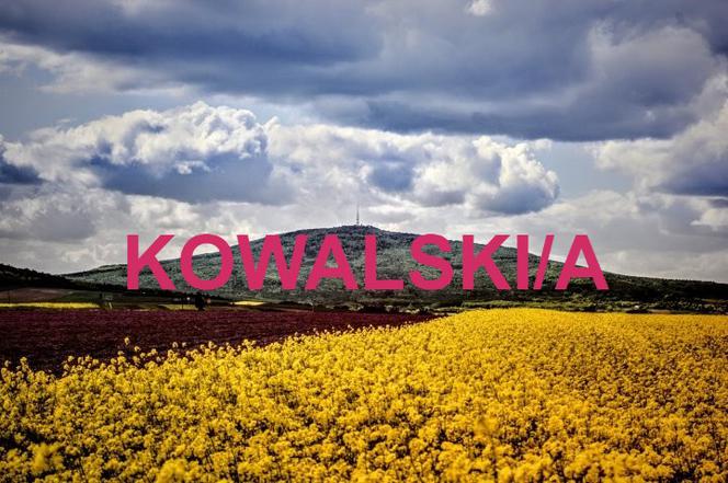 KOWALSKI/A