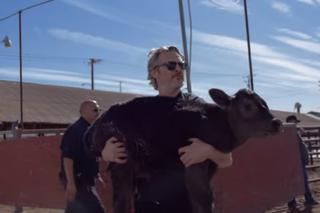 Joaquin Phoenix URATOWAŁ krowę i jej cielę Z RZEŹNI! TO działo się dzień po Oscarach!