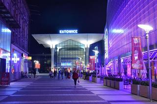 Największe miasta w Polsce. Czołówka zaskakuje! Tych miejscowości się nie spodziewaliście