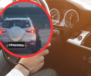 Pies zginął w męczarniach, dom właściciela podpalony. Sprawą zajmuje się prokuratura