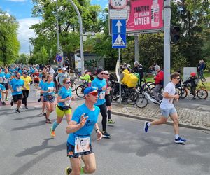 Wings for Life World Run