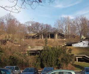 Schody Donikąd 