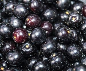 Mówili, że jest trująca. Ta roślina wspomoże walkę z przeziębieniem i ukoi lęki