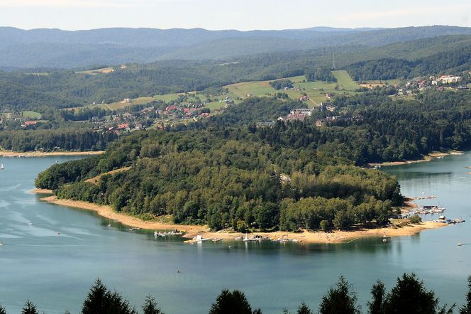 Solina 