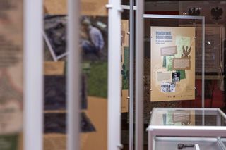 To, co archeolodzy odkryli w lesie, trafi na sejmowe korytarze. Jest wystawa pamiątek z obozowiska partyzantów AK w Borach Tucholskich