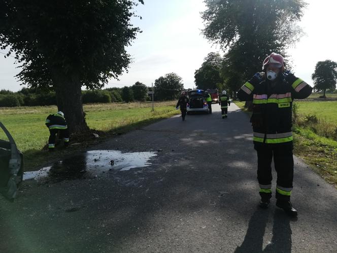 GROŹNY WYPADEK w miejscowości Lutkowo. Kobieta uderzyła w drzewo, a następnie DACHOWAŁA