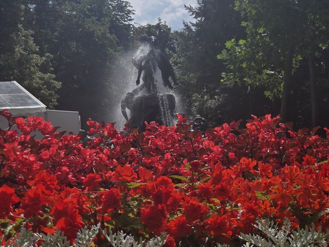 Fontanna „Potop” zachwyca od ponad wieku! To prawdziwa perła Bydgoszczy