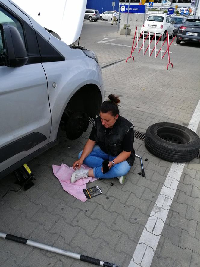 Tak KTOZ ratował bezbronnego zwierzaka