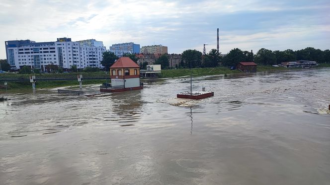 Fala powodziowa we Wrocławiu. Pod wodą są już beach bary i drogi 