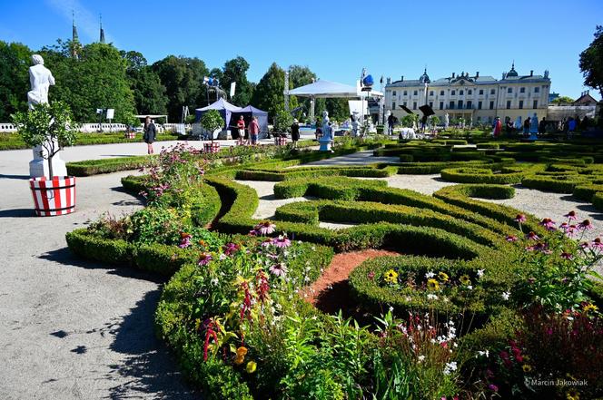 Dzień dobry wakacje w Białymstoku. Zobacz jak wyglądał weekendowy program w stolicy Podlasia [ZDJĘCIA]