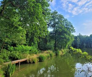 Kraków - Park Tetmajera