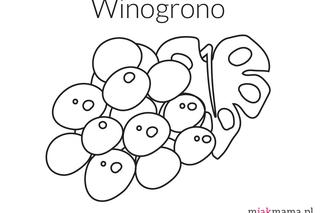 Winogrona – kolorowanka do druku