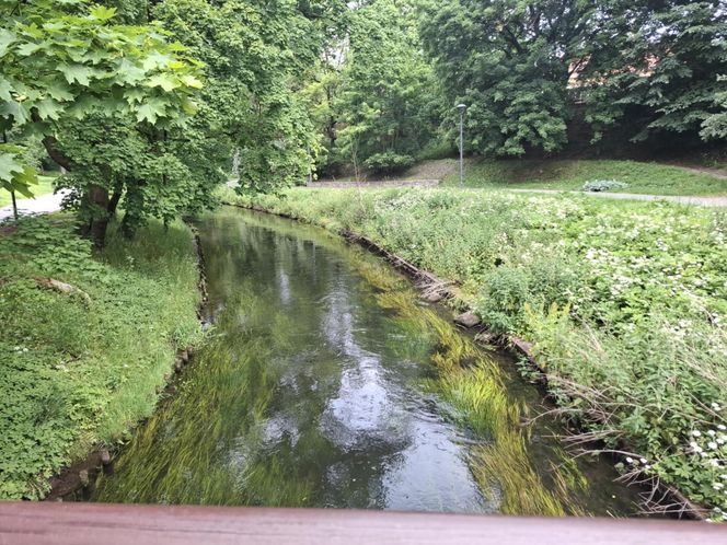 W tym mieście poczujesz się jak w Wenecji. Włoski klimat na północy Polski