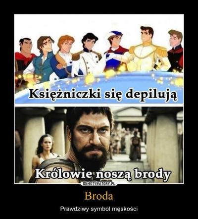 Memy o brodzie z okazji Światowego Dnia Brody