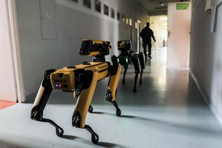 Ma cztery łapy, stalowe serce i właśnie podał łapę policjantowi. „Robopies” nowym hitem w służbach