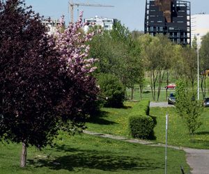 Życie w Architekturze 2025. Żorro. Pracownia Frantgroup, architekt Maciej Franta