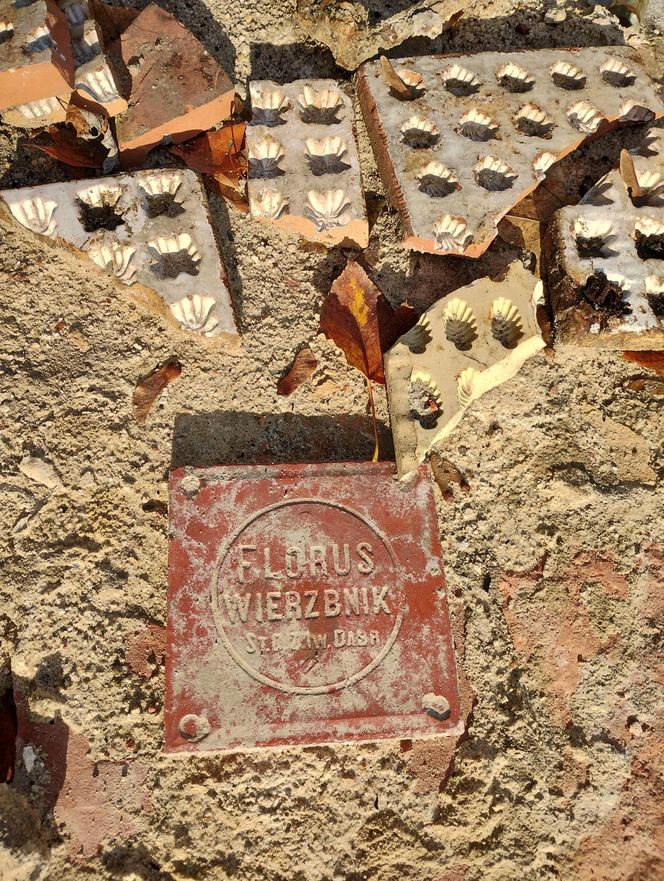 Pozostałości po Fabryce Czekolady "Venus" w Warszawie