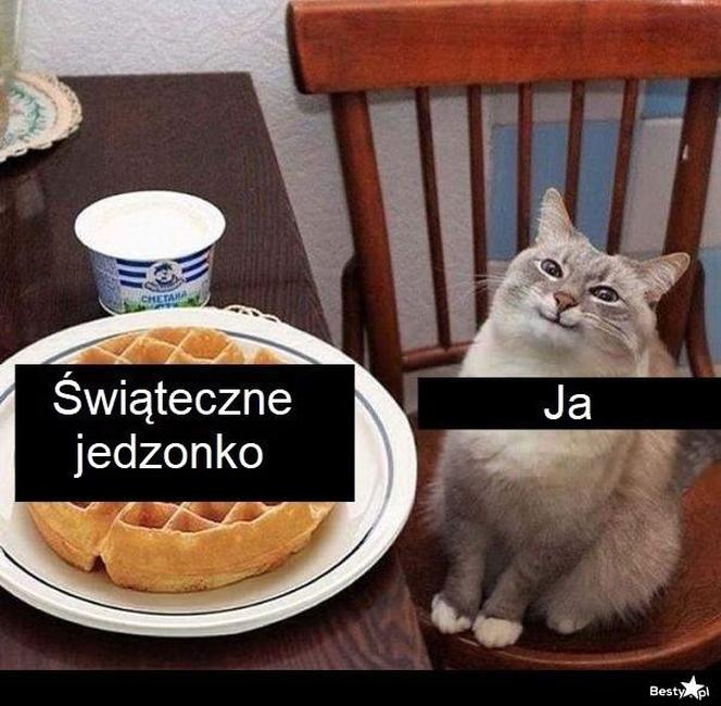 Najlepsze memy o świętach. Te obrazki rozbawią Cię do łez! Tak wygląda Boże Narodzenie oczami internautów [TOP 75]