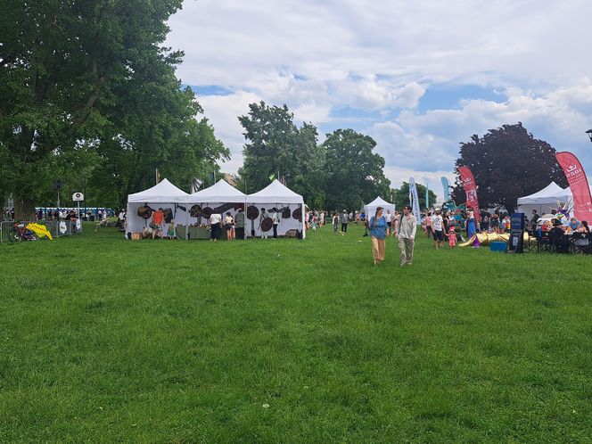 Smoczy Piknik Rodzinny 2025 w Krakowie
