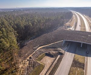 Budowa S1 Oświęcim - Dankowice