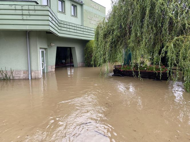 Krytyczna sytuacja w Kłodzku. "Okropnie leje, ulice i domy zalane przez wodę"