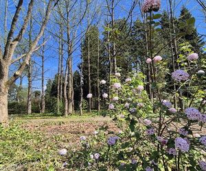 Arboretum w Bolestraszycach 