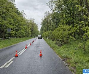 18-latka zginęła w wypadku pod Lubinem. Wypadła z drogi BMW [ZDJĘCIA].