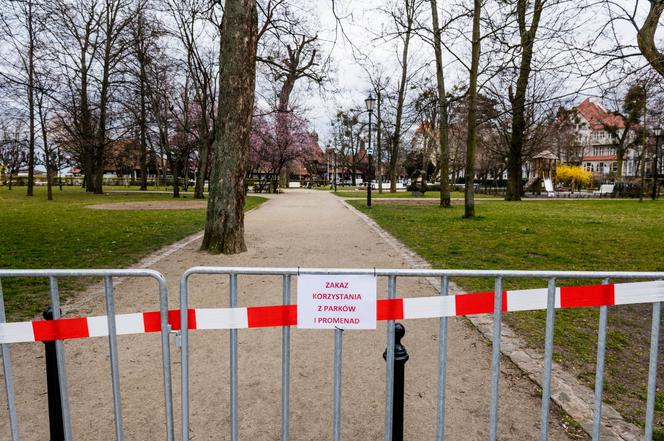 Dostali mandat za siedzenie w aucie 