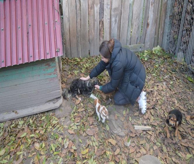 Znęcali sie nad psami