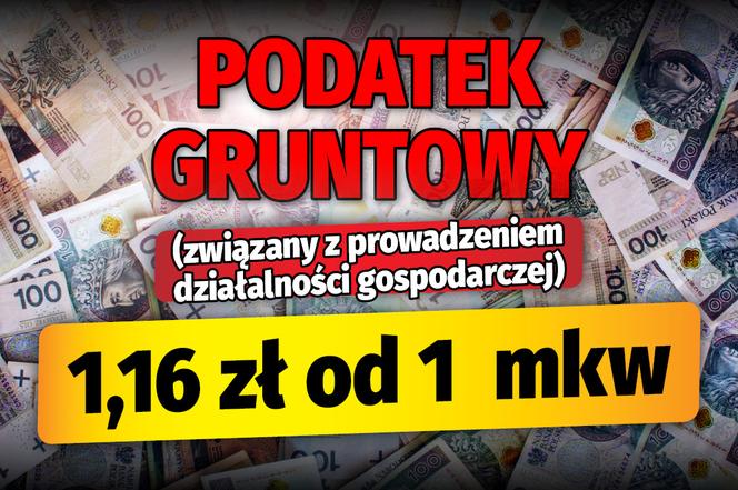 Podwyżki lokalnych podatków. Maksymalne stawki w 2023 roku