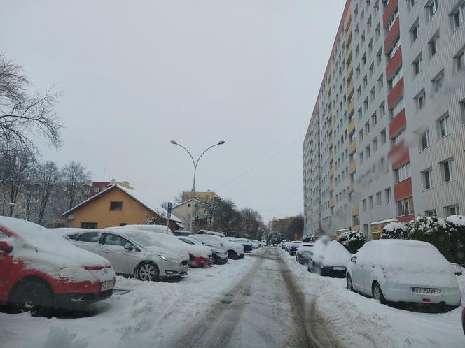 Rzeszów przysypany śniegiem [ZDJĘCIA]