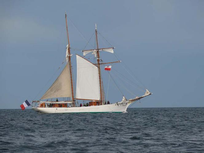 ParadaZagleGdyni2014_FotMZwierz_700906
