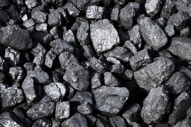 ile kupić węgla