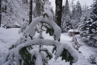 Rezerwat Oczy Ziemi. Tak wygląda zimą