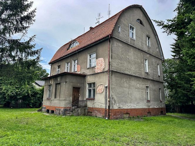  Zazdrość zabiła Anetę! Krwawy dramat w Braniewie