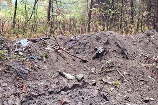 kto odpowiada za śmieci w lesi